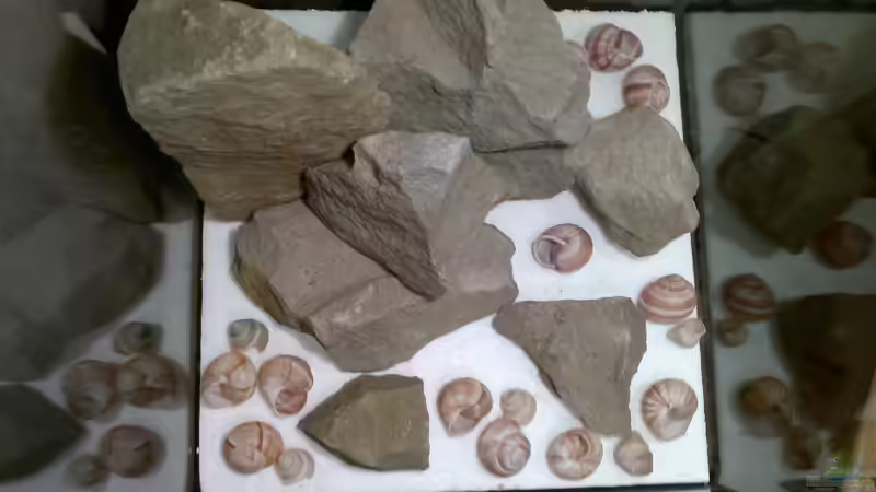 Erste Gedanken zur Beckenstrukturierung 3 von Sambia (31)