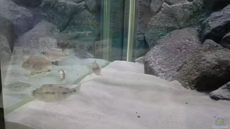 Erste Meter von Martin Drechsler (3)