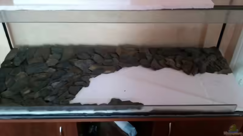 Erste Probelegen der Schieferplatten von Ferolikum (6)