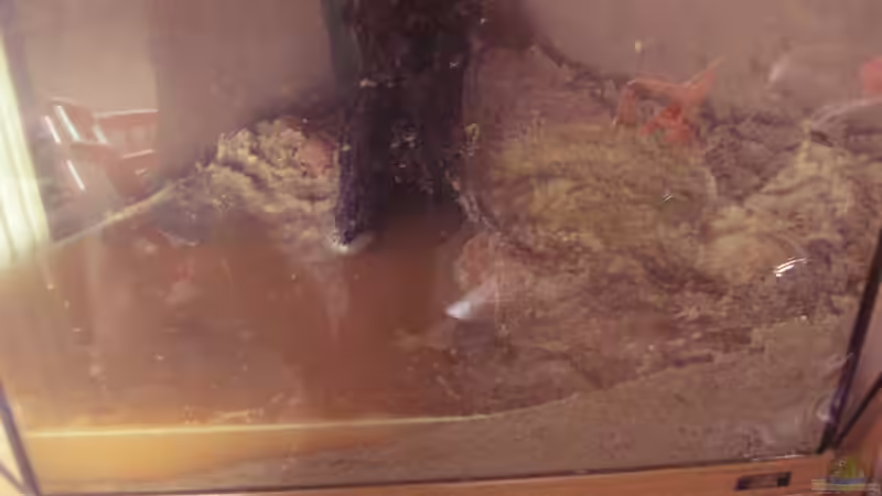 Erste Schritte, Wurzel , Steine & Sand (04.05.2013) von Südamerikafreak BK (22)