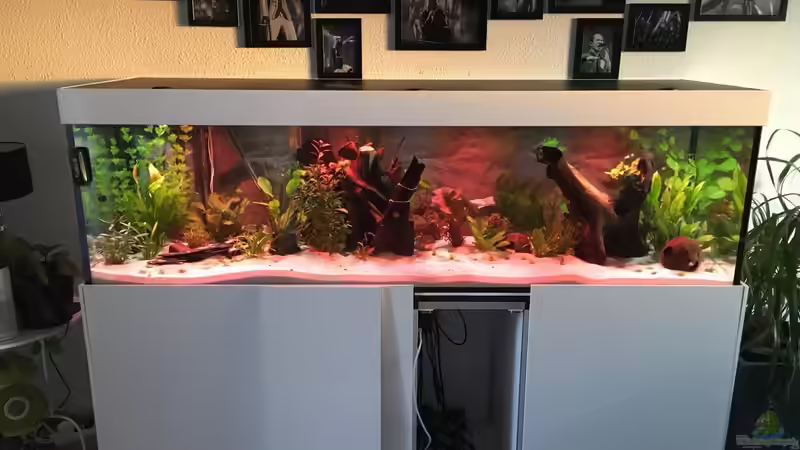 Erste Sonnenuntergangsversuche mit dem Profilux von stroelly (3)