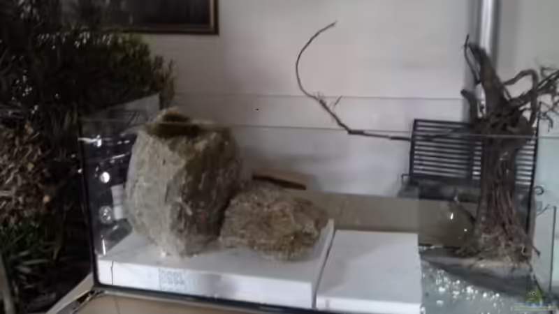 Erste Steine wedren eingebracht.  von Markaroni (45)