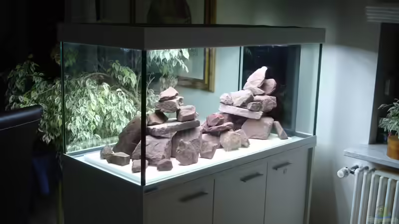 Erste Variante Steinaufbau ohne Sand von Roadrunner 68 (4)