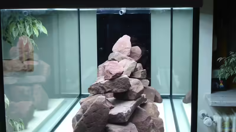 Erste Variante Steinaufbau ohne Sand von Roadrunner 68 (5)