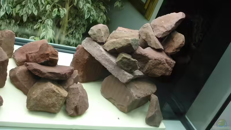 Erste Variante Steinaufbau ohne Sand von Roadrunner 68 (6)