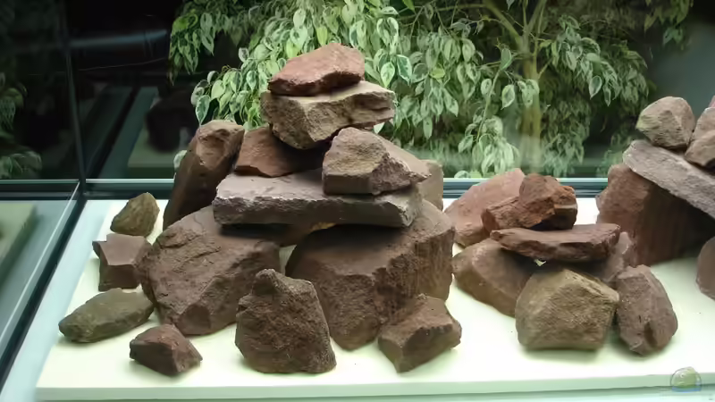 Erste Variante Steinaufbau ohne Sand von Roadrunner 68 (7)