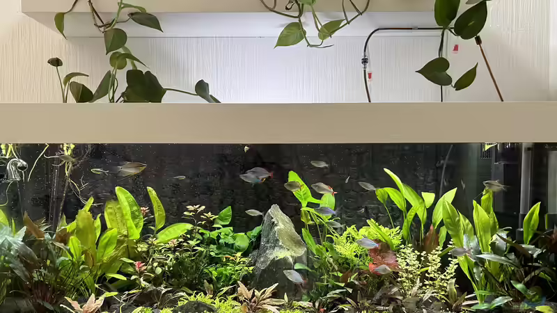 Erste Version nach der Umgestaltung  von Thilo (15)