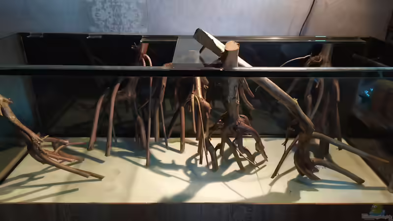 erste Versuche der Einrichtung von vauen (4)