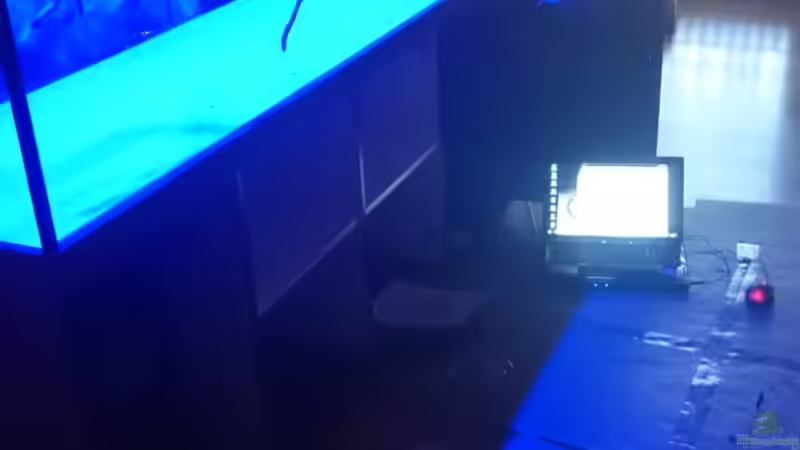 Erste Versuche mit dem Licht von Tobias Summerer (46)