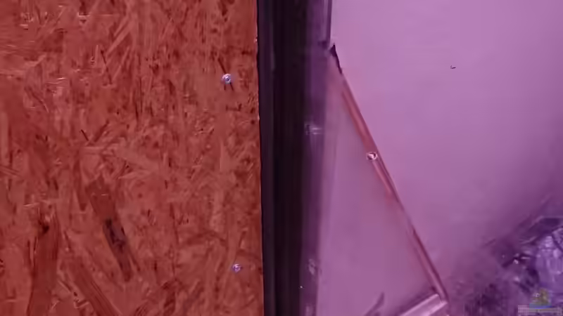 erste Wände werden verkleidet von kellerkind (16)