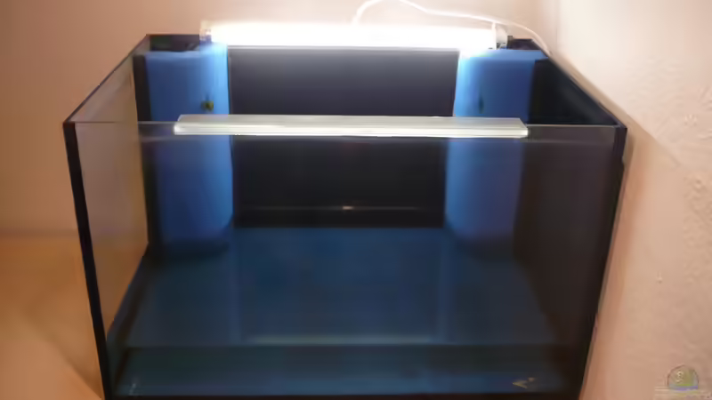 Erste Wässerung am neuen Standort von Der Dortmunder (6)