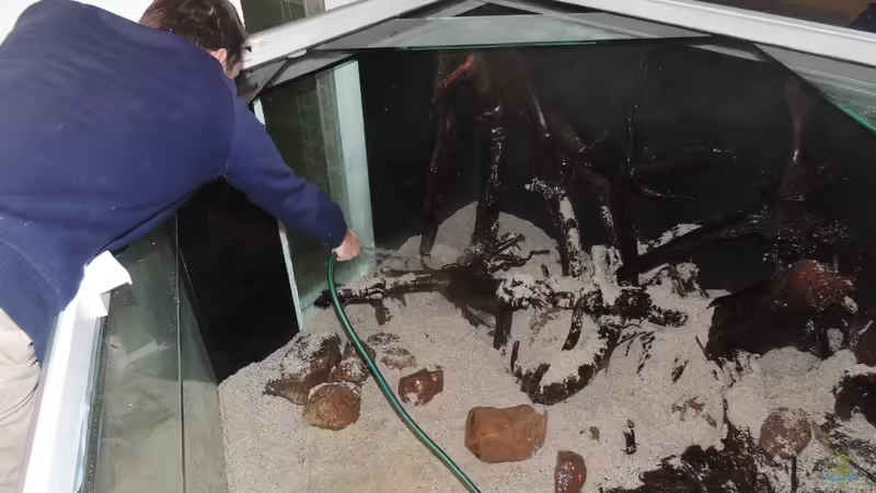 erste wasser kommt rein von Nico Beyer (20)