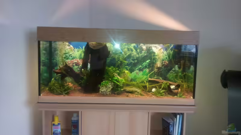 Ersteinrichtung...  von Tommy Büttner (3)