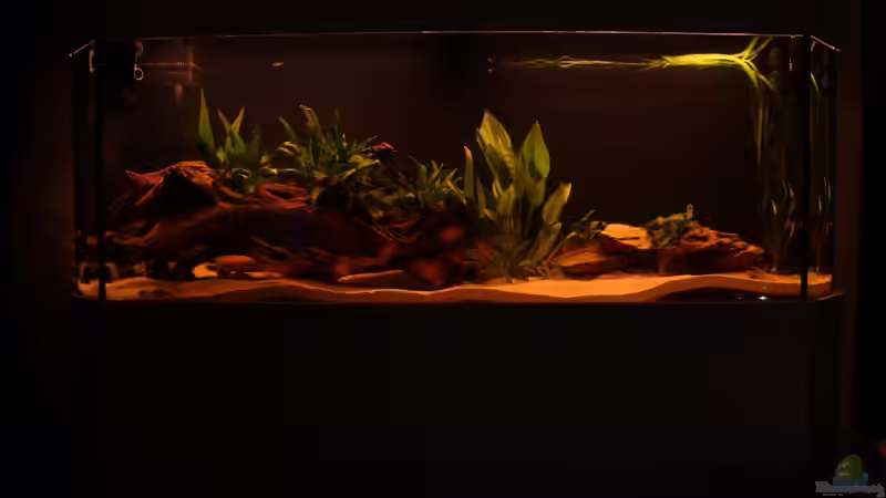 Ersteinrichtung: Becken bei Dämmerung von Tim E. (3)