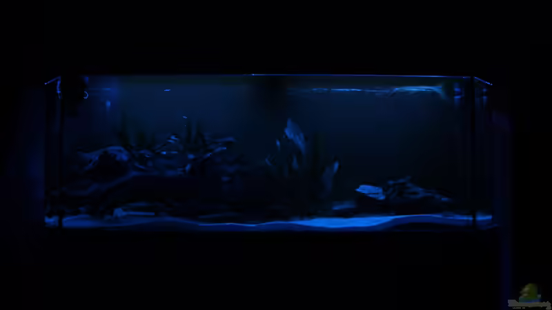 Ersteinrichtung: Mondlicht (wird ns) von Tim E. (5)