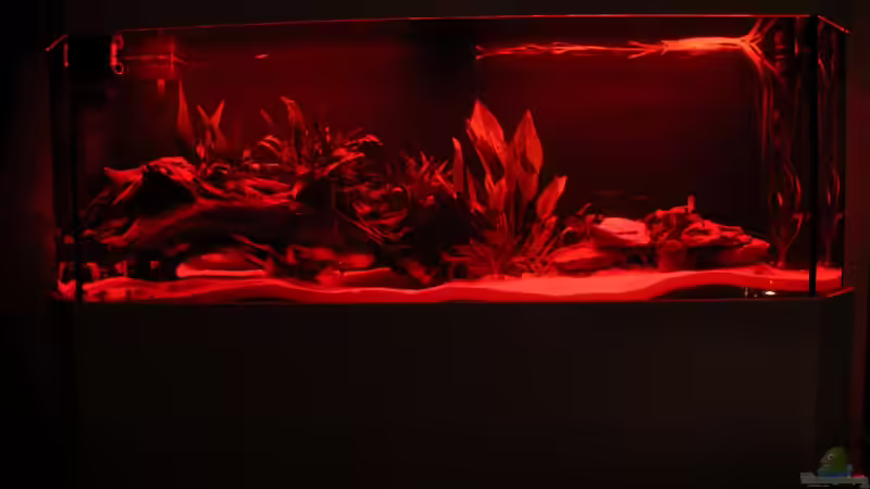 Ersteinrichtung: Sonnenuntergang von Tim E. (4)