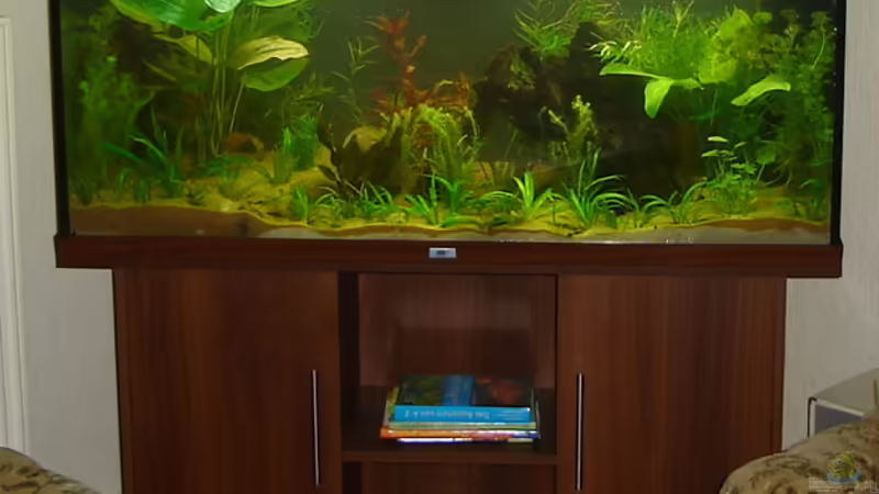 Ersteinrichtung 14.08.2010 Rio 240 von Susanne Kruse (8)