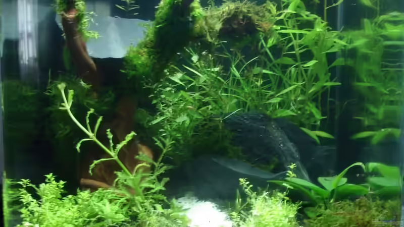 Ersteinrichtung 20.09.2008 von quickmike (1)