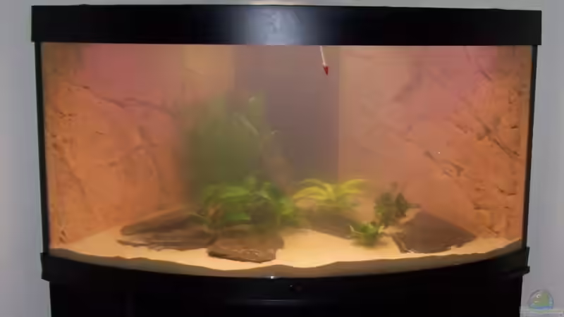 Ersteinrichtung im Jul.08 von Alamo (7)