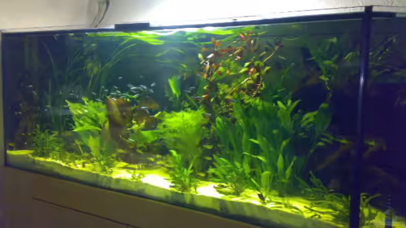 Ersteinrichtung ohne Diskus von Sylvia Hoffmann (4)