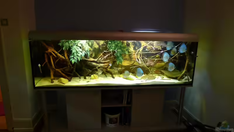 Ersteinrichtung Oktober 2010 von Laura (8)