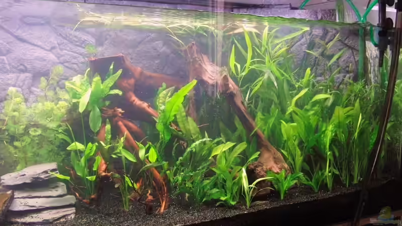 Ersteinrichtung rechts von Microsash (4)