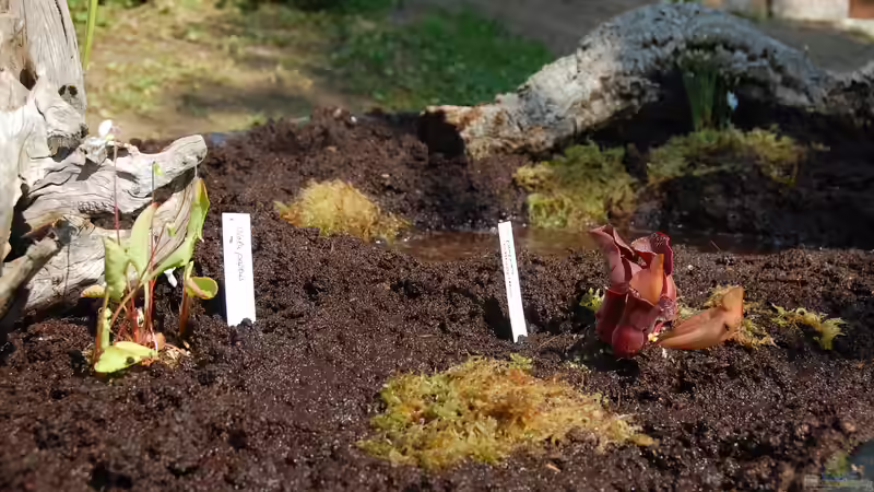 Ersteinrichtung von Junglist (7)