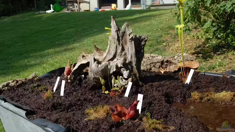 Ersteinrichtung von Junglist (8)