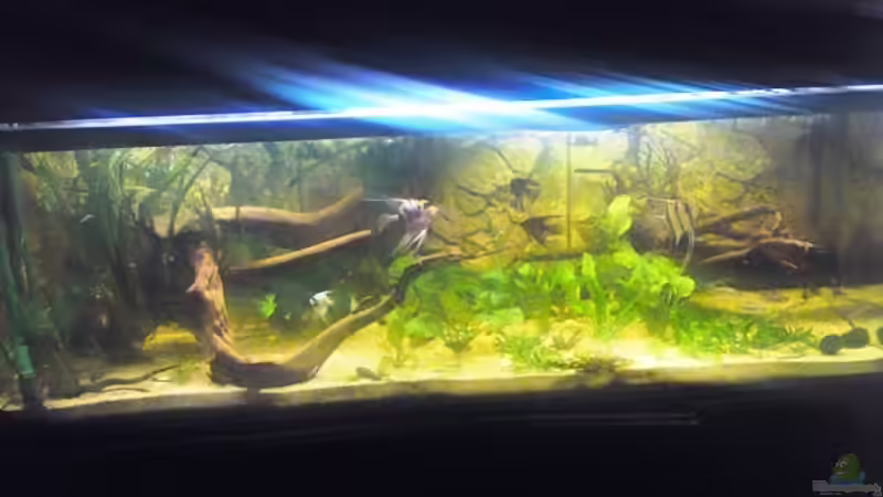 Ersteinrichtung von Yvonne Storms (3)