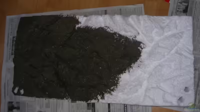 Erster Anstrich mit Portlandzement von Mahlomolo (7)