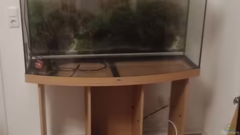 Erster Aufbau des Aquariums nach dem Kauf  von Wilhelm94 (2)