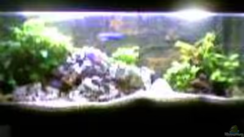 erster Aufbau Januar 2004 von Dominic Zuccarelli (2)