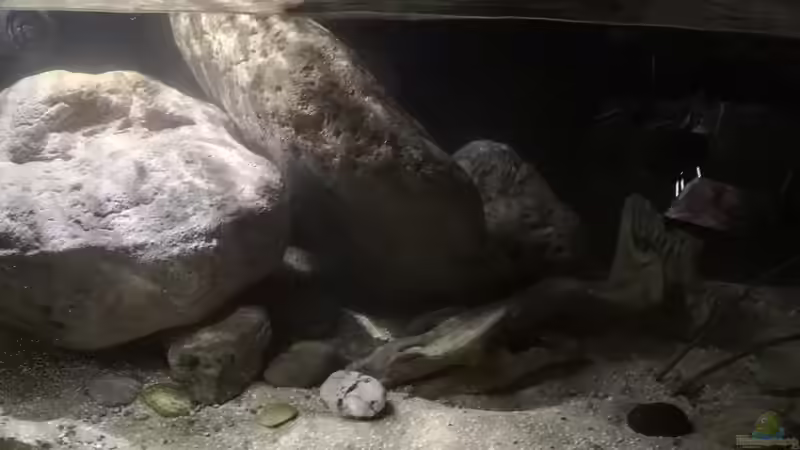 Erster Eindruck aber nur ein kleiner ! von Florian Bandhauer (54)