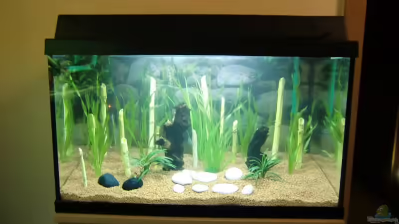 erster entwurf von EcoSyS (2)