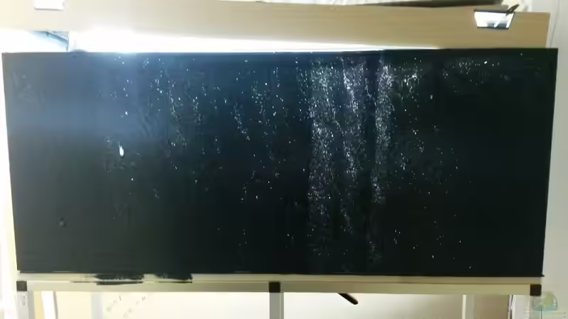 Erster Farbanstrich deckte noch nicht ganz. Durchtrocknen und noch mal mit der frischen von Beulenkopftyp (15)