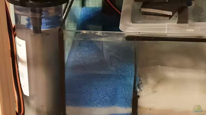 erster Glaskugelfilter von Steven Tumma (18)