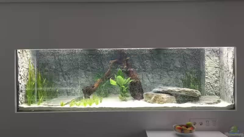 Erster Kontakt mit Wasser von Benjamin Schmider (11)