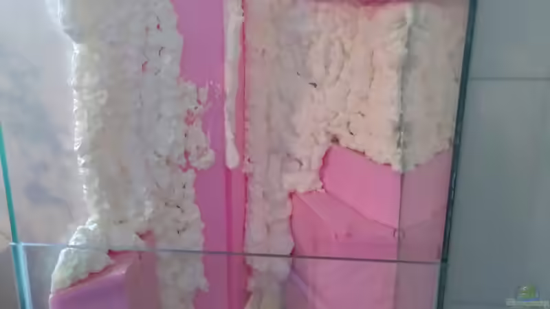 Erster Ladung Brunnenschaum  von Stephi (20)