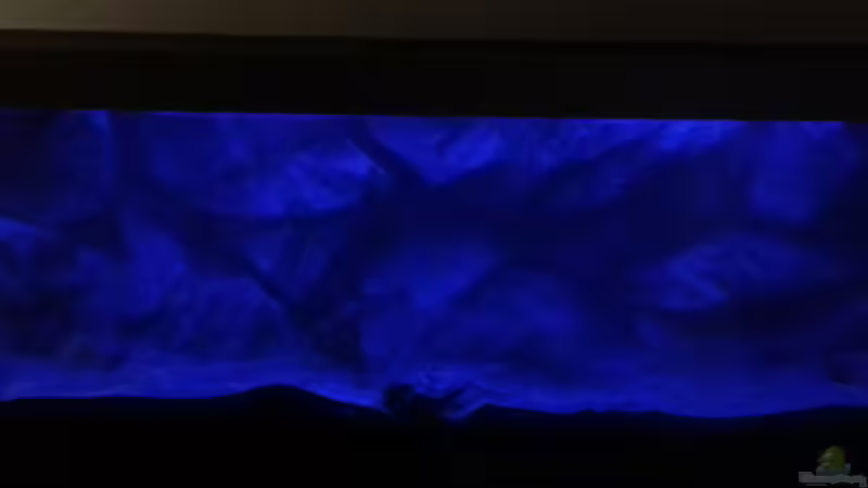 Erster Mondaufgang...noch im Nebel des Grauens von tripledad (4)