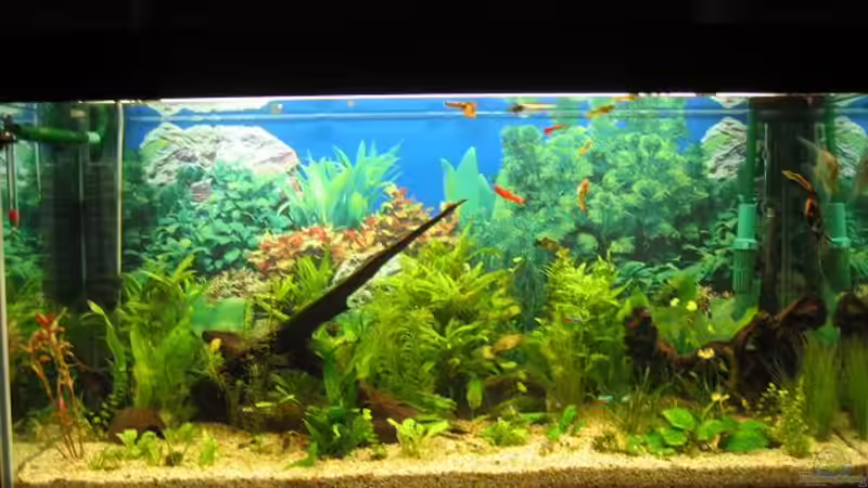 Erster Tag mit dem Dünger von Easylife Profito und Carbo von andi.B (2)