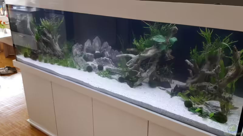 erster Tag von Diskusfan2000 (4)