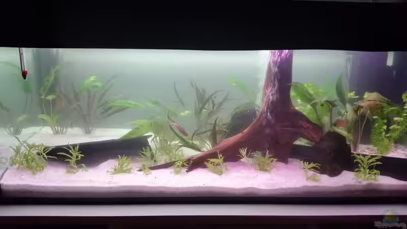 erster Tag von Oli 1 (5)