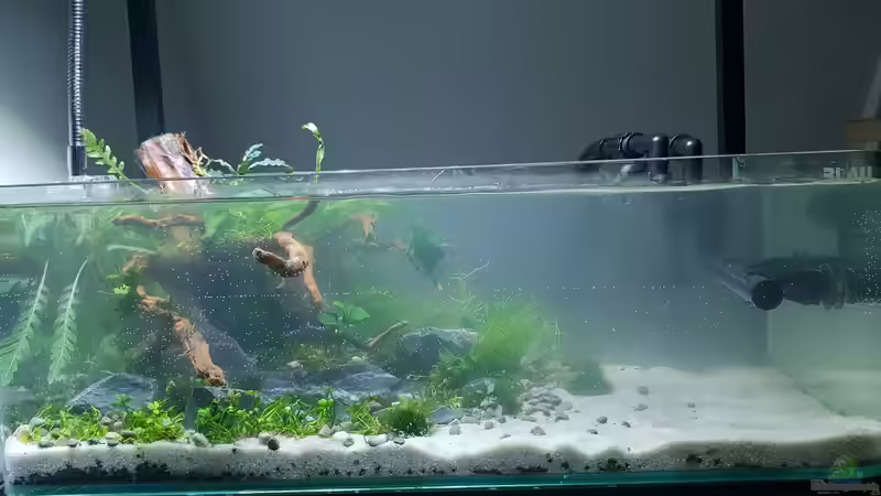 Erster Tag von Romano E (10)