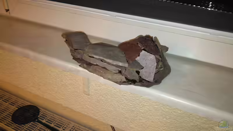 Erster Teil zum Trocknen des Silikone über der Heizung. von AdrianSoS (46)