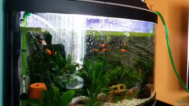 erster Teilwasserwechsel von Steffen und Felix (25)