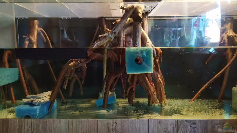 erster Test mit Wasser von vauen (5)