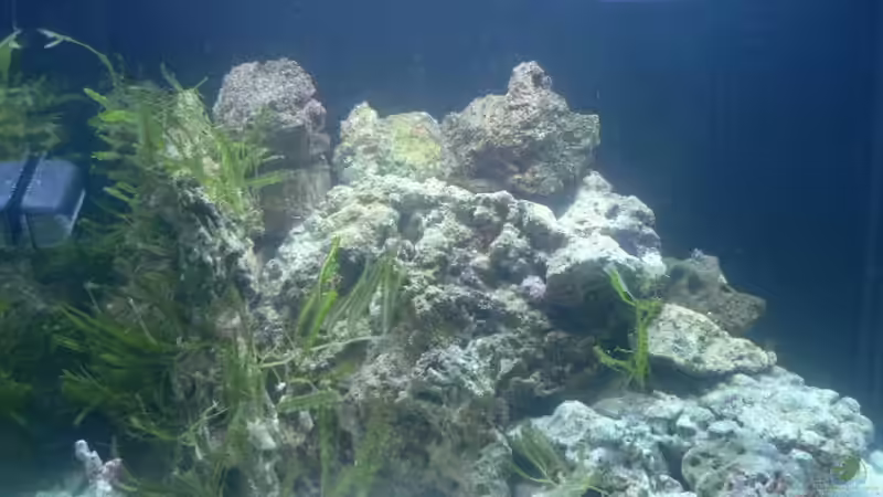 Erster Versuch, da störten mich oben die kleinen Steine. von Zapfenmanderl (8)