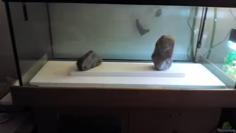 erster Versuch: Plazierung der Steine von Marcel Wagner (7)