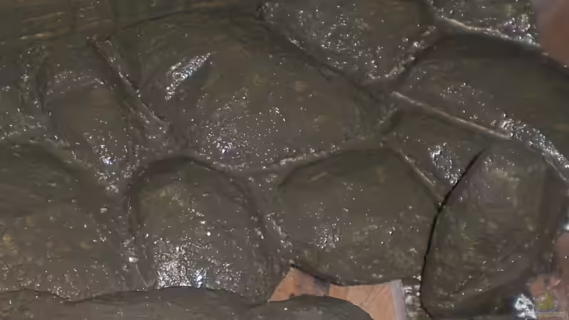 Erstes bearbeiten mit Zement von ptobias (3)