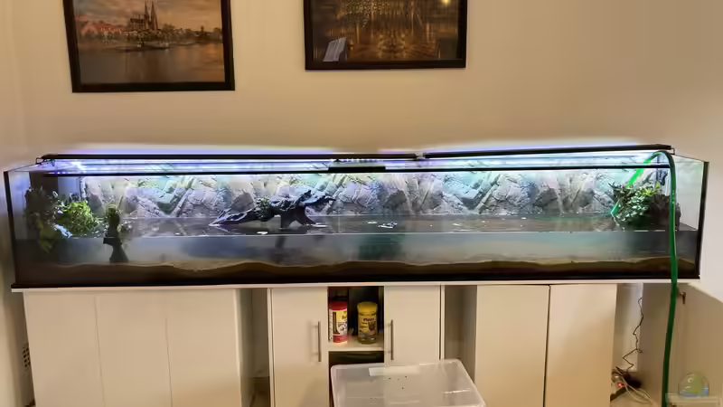 Erstes Befüllen, März 2021 von Fischfan11 (3)